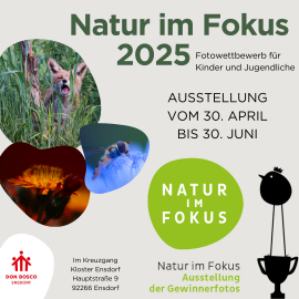 Die Asstellung Natur im Fokus zeigt die Gewinnerbilder des Fotowettbewerns für Kinder und Jugendliche. Zu sehen von 30.4. bis 30.6. 2025 im Kloster Ensdorf