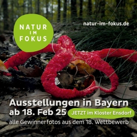 Ausstellung Natur im Fokus von Anfang Mai bis Ende Juni im Kloster Ensdorf