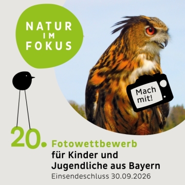 Natur im Fokus Fotowettbewerb