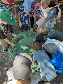 Aus gesammelten Naturschätzen bastelten die Kinder ein Naturmemory und einen eigenen Fühlkasten.