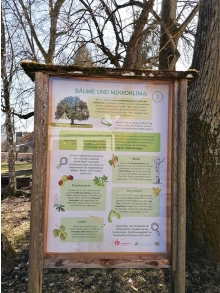 Infotafel zu Bäumen und Mikroklima auf dem Gelände von Don Bosco Ensdorf