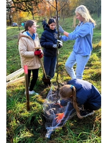 Schülerinnen der Mittelschule Ensdorf pflanzen Bäume auf der Streuobstwiese von Don Bosco Ensdorf