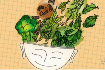 Salat-Bowl - Illustration von Karen Blume zur Workshop-Reihe Klima-Snack