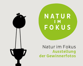 Ausstellung "Natur im Fokus" von 07.08. bis 24.09.2023 im Kloster Ensdorf
